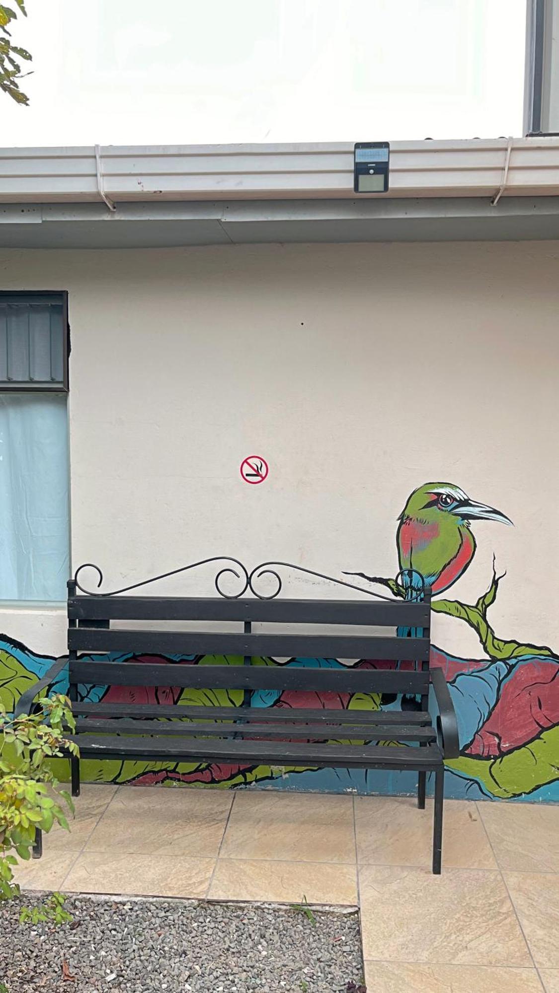 Casa Jungle Monteverde B&B エクステリア 写真