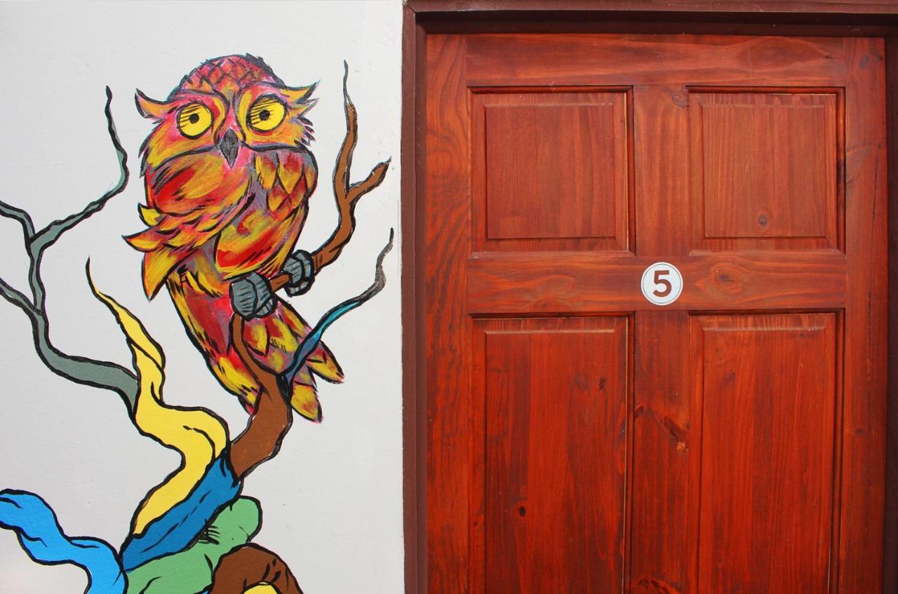 Casa Jungle Monteverde B&B エクステリア 写真
