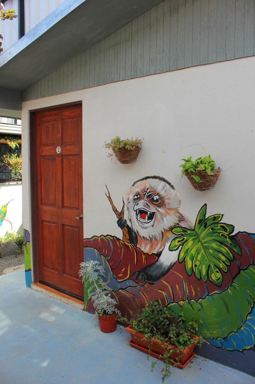 Casa Jungle Monteverde B&B エクステリア 写真