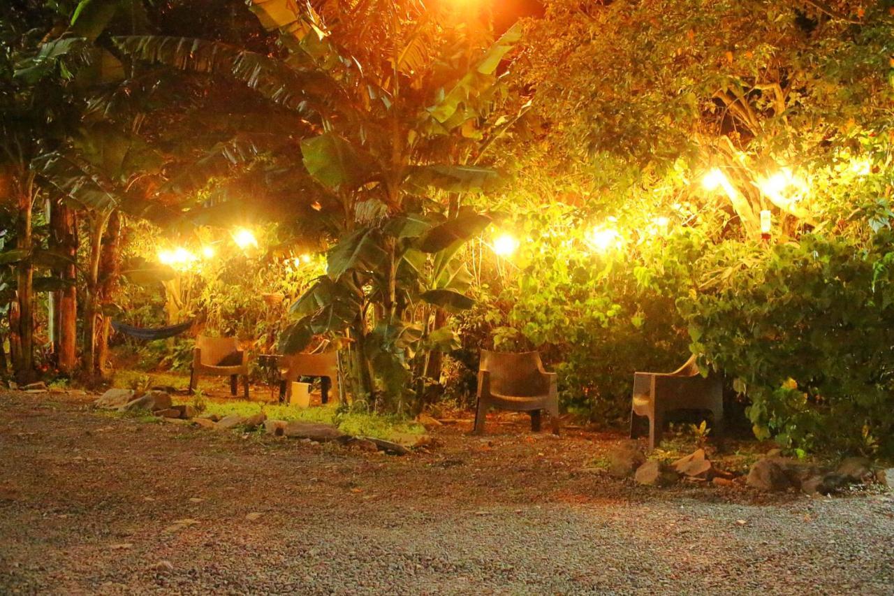 Casa Jungle Monteverde B&B エクステリア 写真