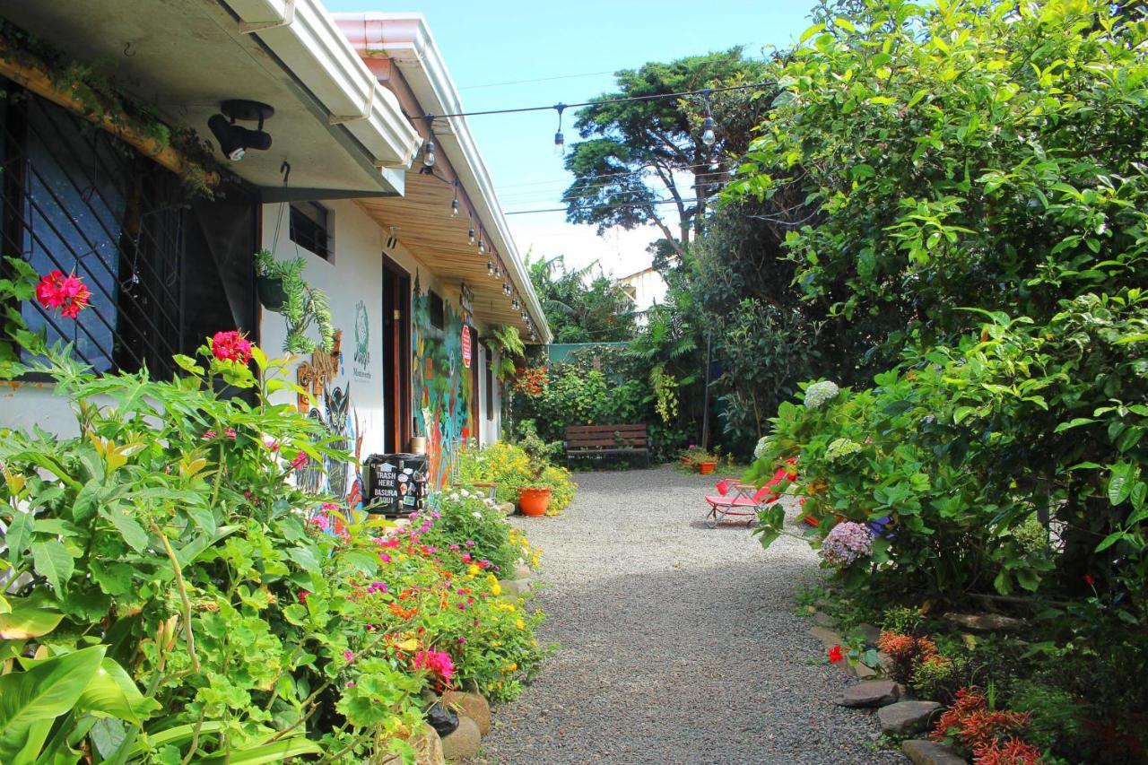 Casa Jungle Monteverde B&B エクステリア 写真