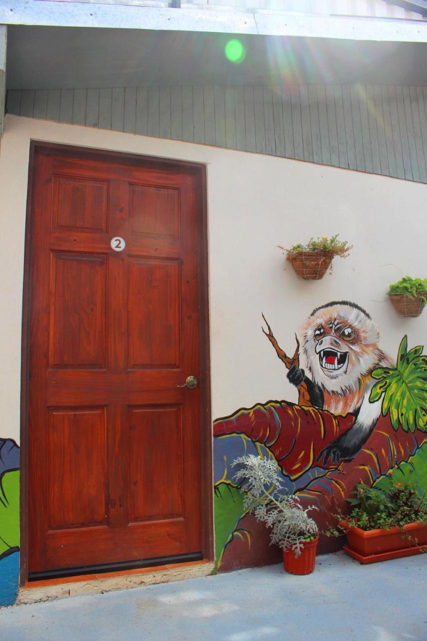 Casa Jungle Monteverde B&B エクステリア 写真