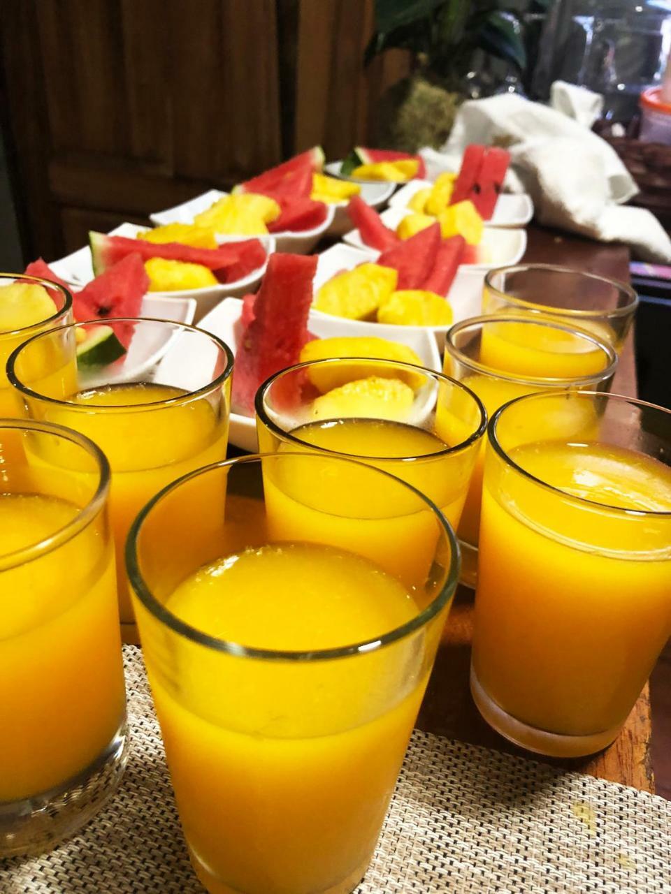 Casa Jungle Monteverde B&B エクステリア 写真