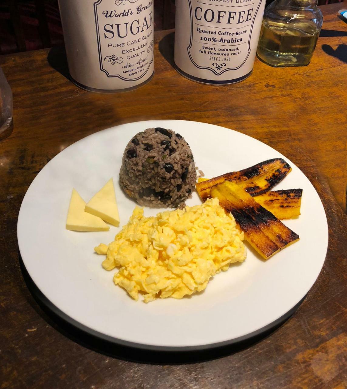 Casa Jungle Monteverde B&B エクステリア 写真