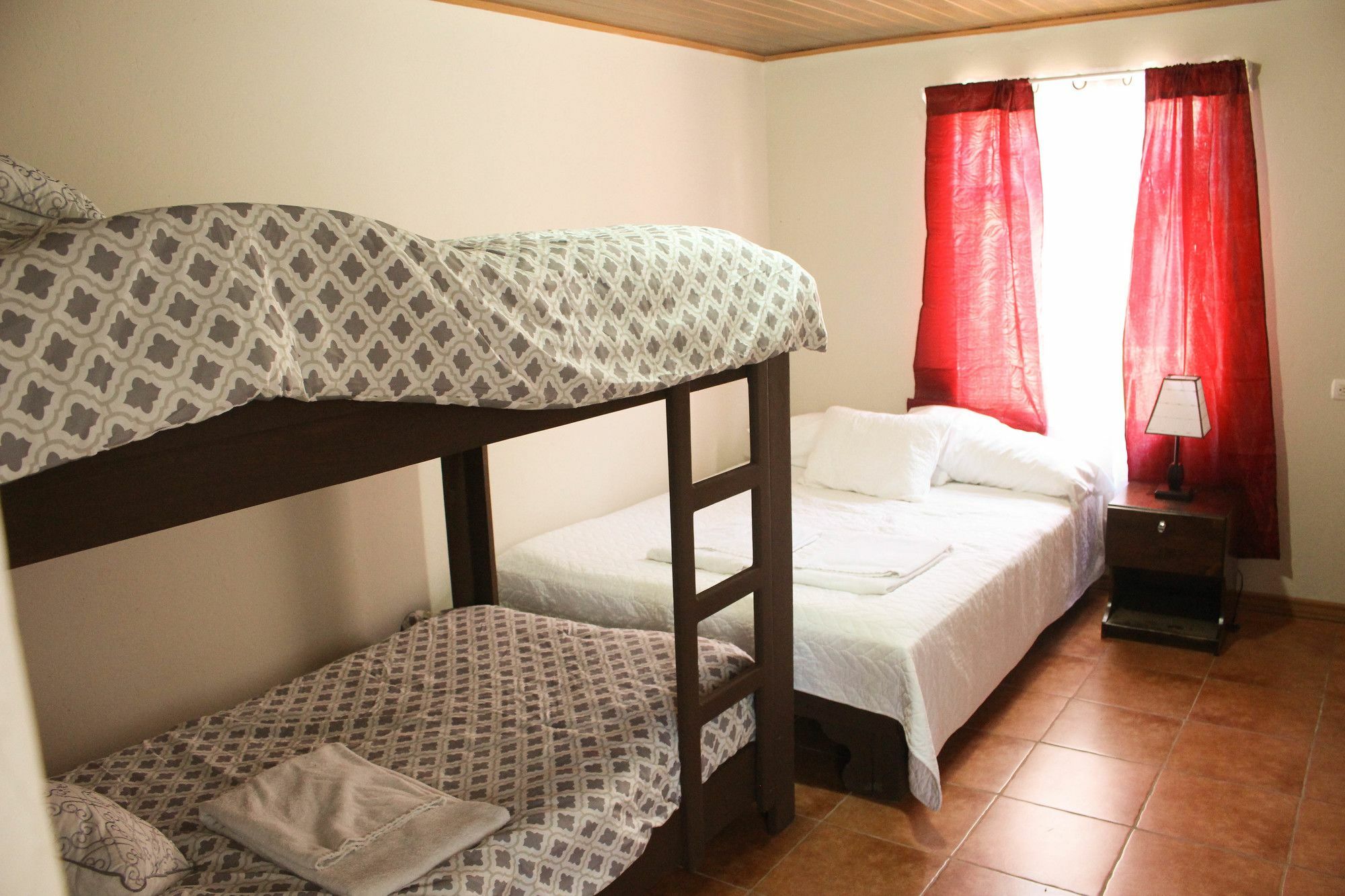 Casa Jungle Monteverde B&B エクステリア 写真