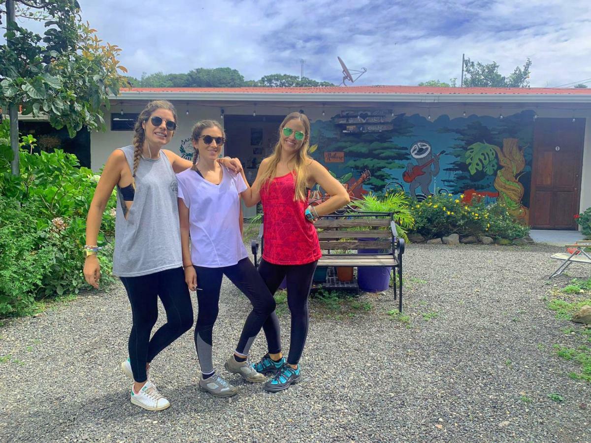 Casa Jungle Monteverde B&B エクステリア 写真