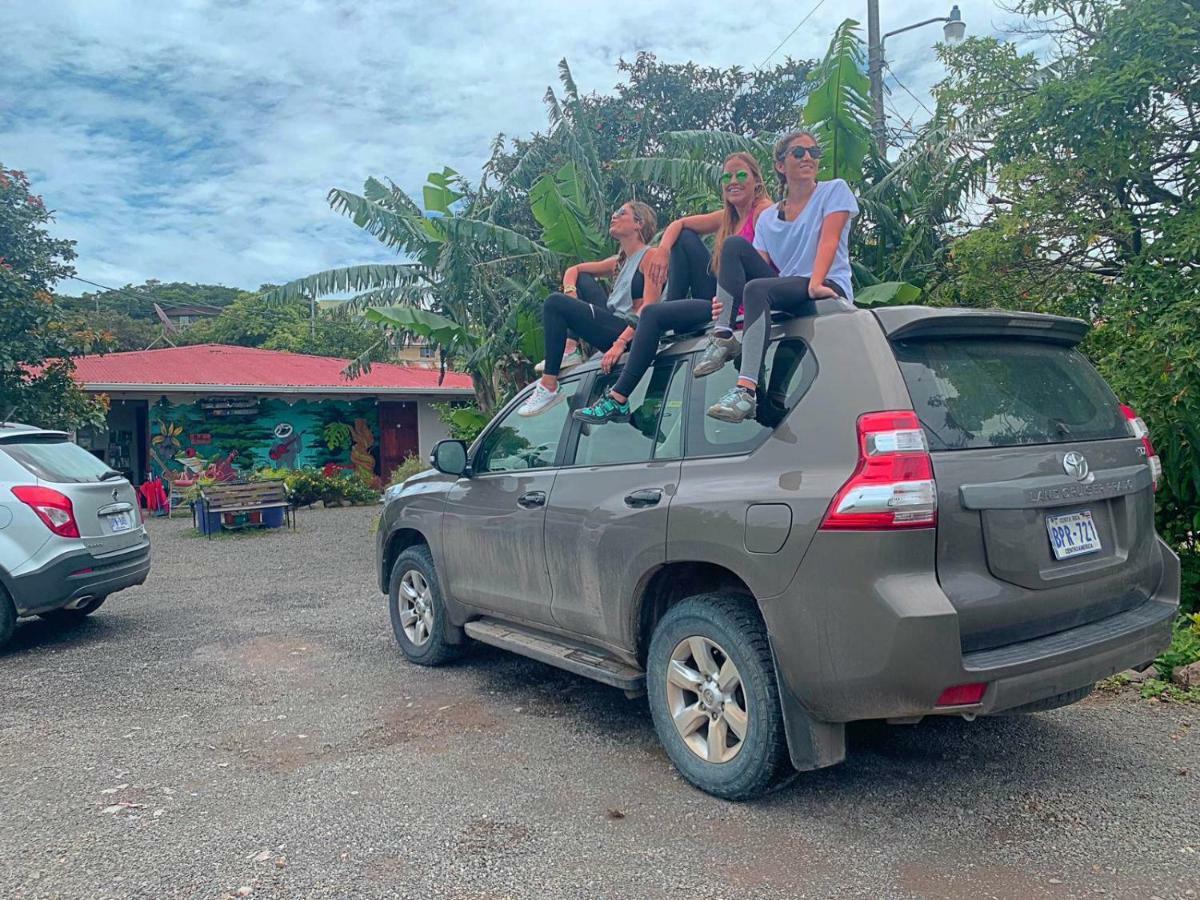 Casa Jungle Monteverde B&B エクステリア 写真